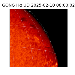 gong - 2025-02-10T08:00:02