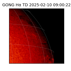 gong - 2025-02-10T09:00:22