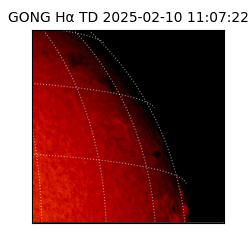 gong - 2025-02-10T11:07:22