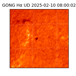 gong - 2025-02-10T08:00:02