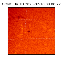 gong - 2025-02-10T09:00:22
