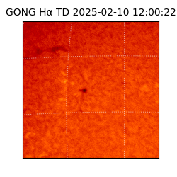 gong - 2025-02-10T12:00:22