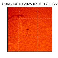 gong - 2025-02-10T17:00:22