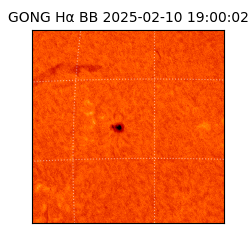gong - 2025-02-10T19:00:02
