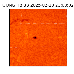 gong - 2025-02-10T21:00:02