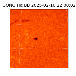 gong - 2025-02-10T22:00:02