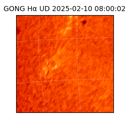gong - 2025-02-10T08:00:02