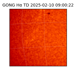 gong - 2025-02-10T09:00:22