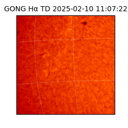 gong - 2025-02-10T11:07:22