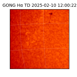gong - 2025-02-10T12:00:22