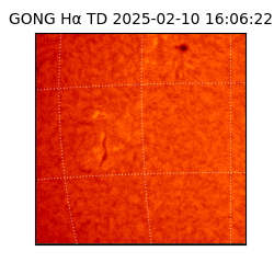 gong - 2025-02-10T16:06:22