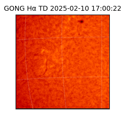 gong - 2025-02-10T17:00:22