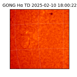gong - 2025-02-10T18:00:22