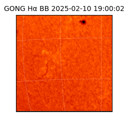 gong - 2025-02-10T19:00:02