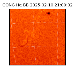 gong - 2025-02-10T21:00:02