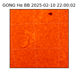 gong - 2025-02-10T22:00:02