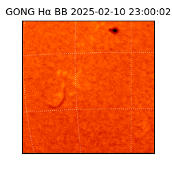 gong - 2025-02-10T23:00:02