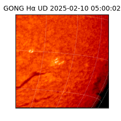 gong - 2025-02-10T05:00:02