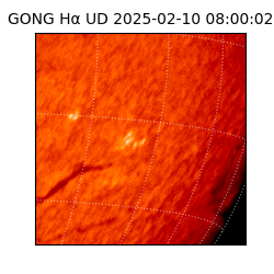 gong - 2025-02-10T08:00:02