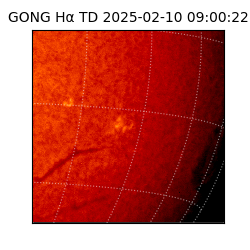 gong - 2025-02-10T09:00:22