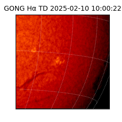 gong - 2025-02-10T10:00:22