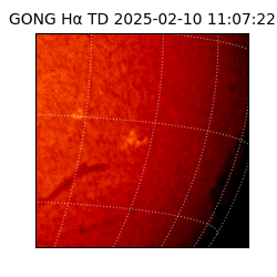 gong - 2025-02-10T11:07:22