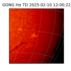gong - 2025-02-10T12:00:22
