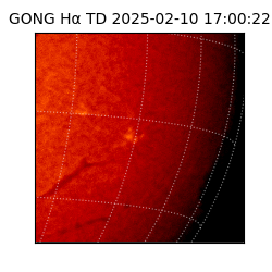 gong - 2025-02-10T17:00:22