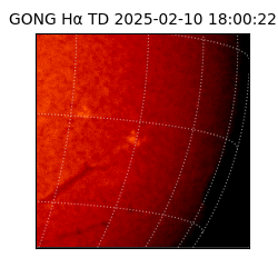gong - 2025-02-10T18:00:22