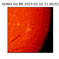 gong - 2025-02-10T21:00:02