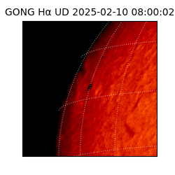 gong - 2025-02-10T08:00:02