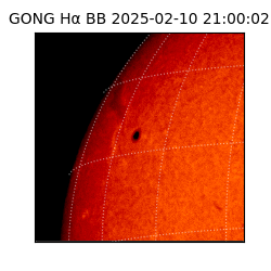 gong - 2025-02-10T21:00:02