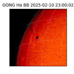 gong - 2025-02-10T23:00:02