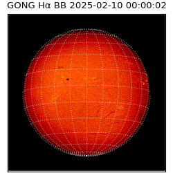 gong - 2025-02-10T00:00:02