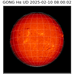 gong - 2025-02-10T08:00:02