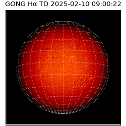gong - 2025-02-10T09:00:22