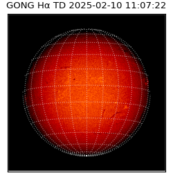 gong - 2025-02-10T11:07:22