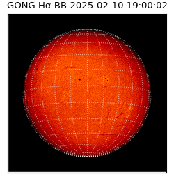 gong - 2025-02-10T19:00:02