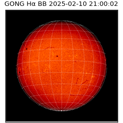 gong - 2025-02-10T21:00:02