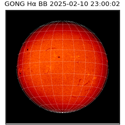 gong - 2025-02-10T23:00:02