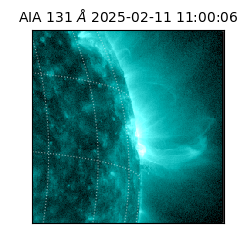 saia - 2025-02-11T11:00:06.622000