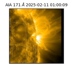 saia - 2025-02-11T01:00:09.350000