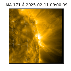 saia - 2025-02-11T09:00:09.350000
