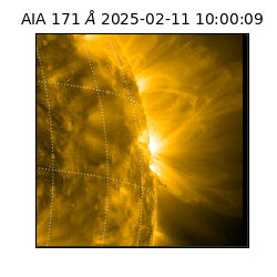 saia - 2025-02-11T10:00:09.350000