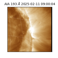 saia - 2025-02-11T09:00:04.843000