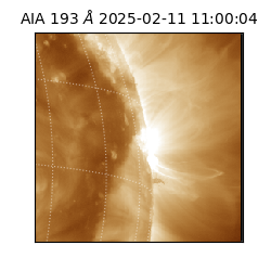 saia - 2025-02-11T11:00:04.843000