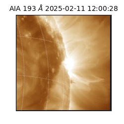 saia - 2025-02-11T12:00:28.843000