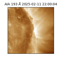 saia - 2025-02-11T22:00:04.847000