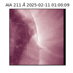 saia - 2025-02-11T01:00:09.626000