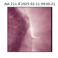 saia - 2025-02-11T09:00:21.625000
